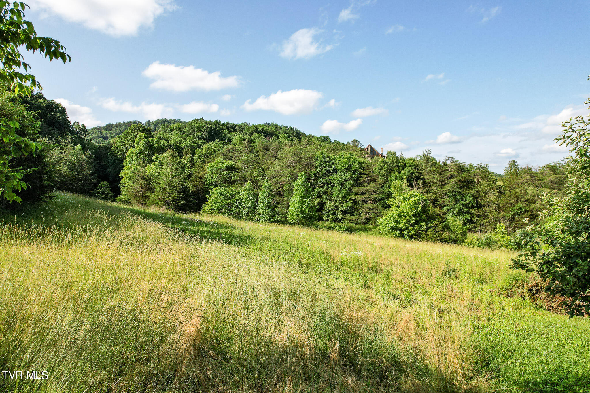 1025 Pilot Mountain Road Bulls Gap, TN 37711 - Photo 57 of 68 DJI_0979