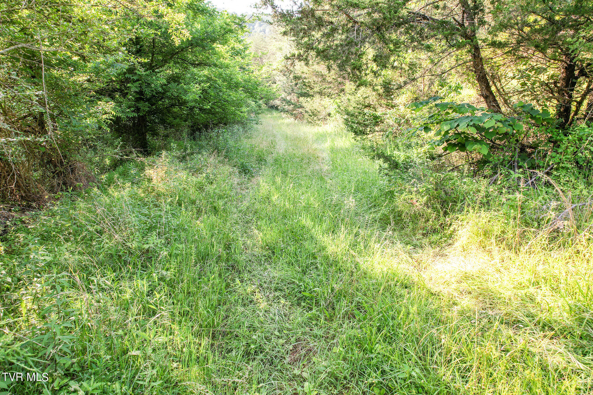 1025 Pilot Mountain Road Bulls Gap, TN 37711 - Photo 58 of 68 DJI_0980