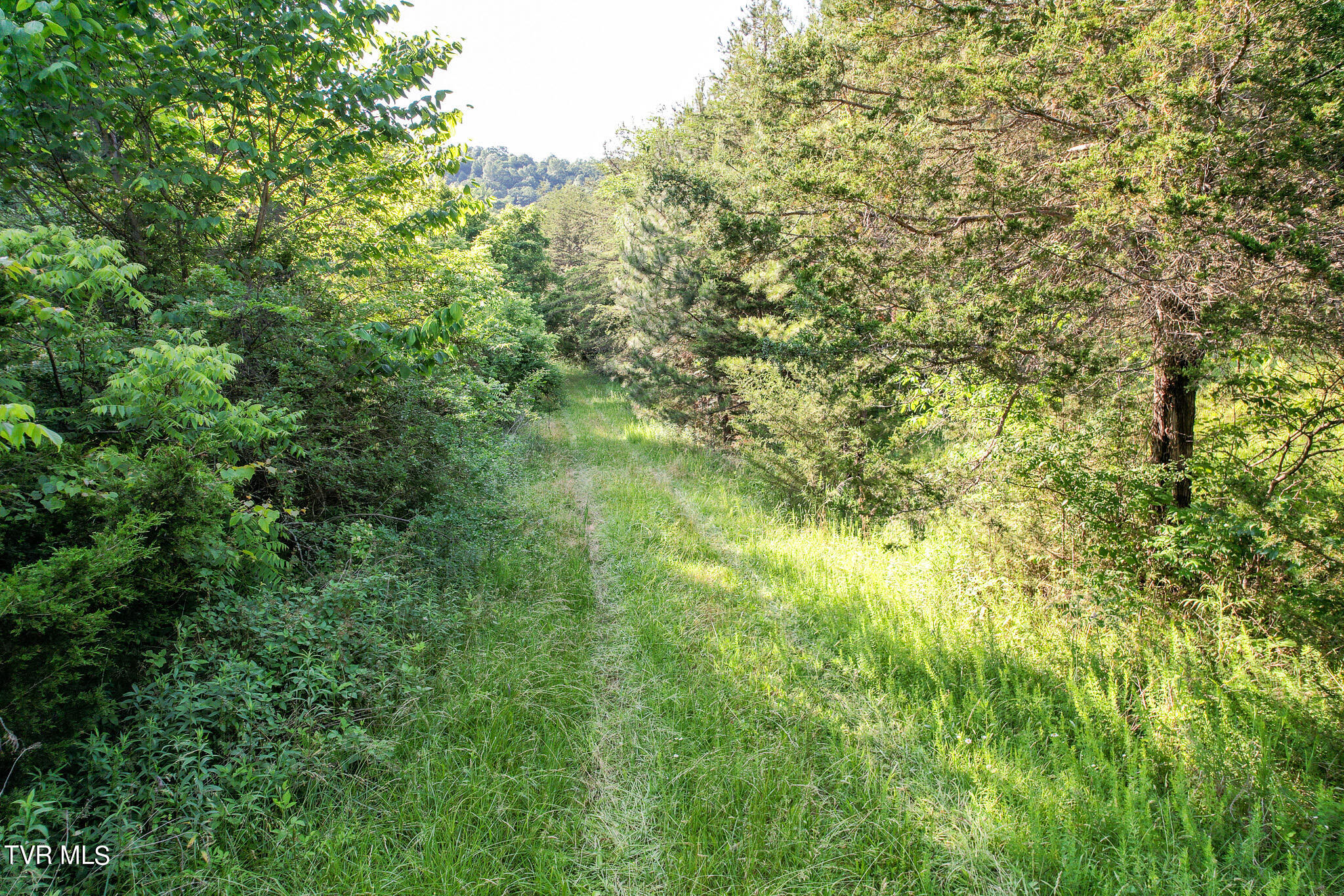 1025 Pilot Mountain Road Bulls Gap, TN 37711 - Photo 59 of 68 DJI_0981