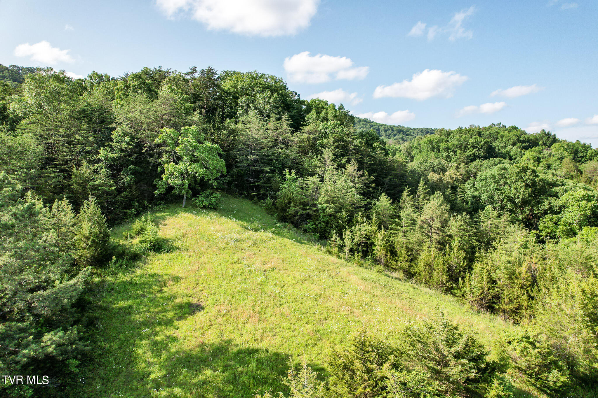 1025 Pilot Mountain Road Bulls Gap, TN 37711 - Photo 60 of 68 DJI_0982