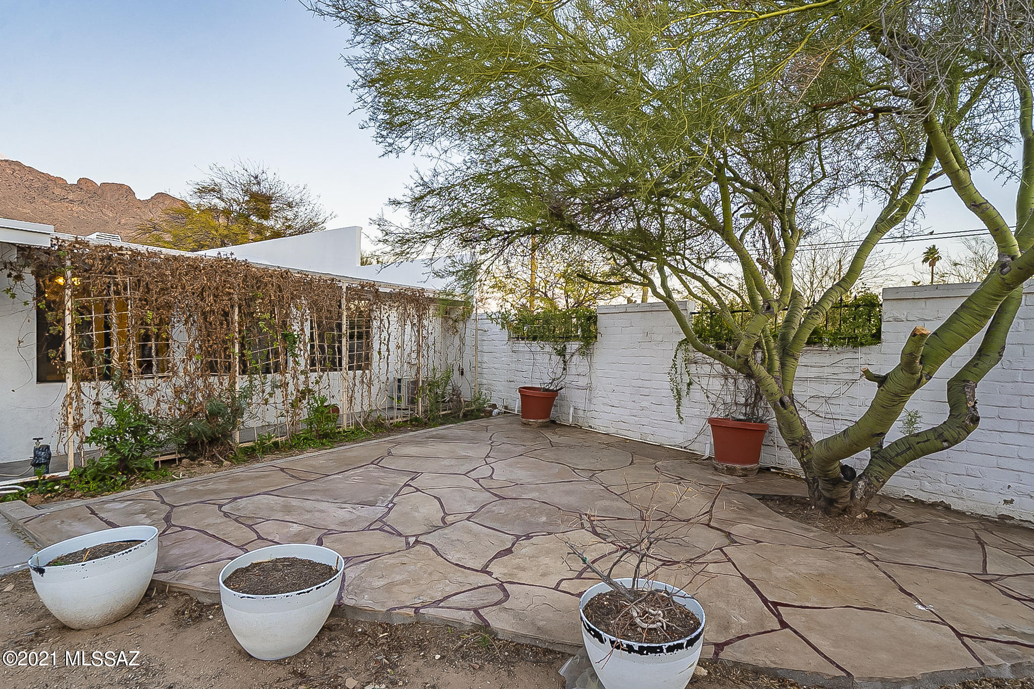346 West Hardy Road Tucson, AZ 85704 - Photo 35 of 40