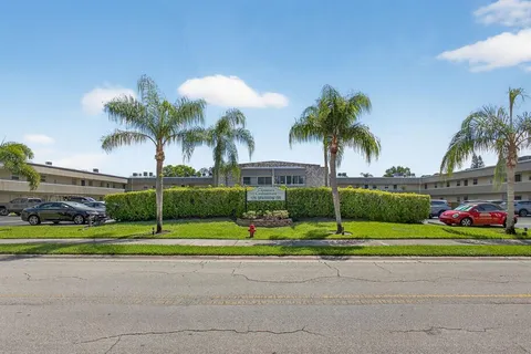 a view of a park with plants and palm trees