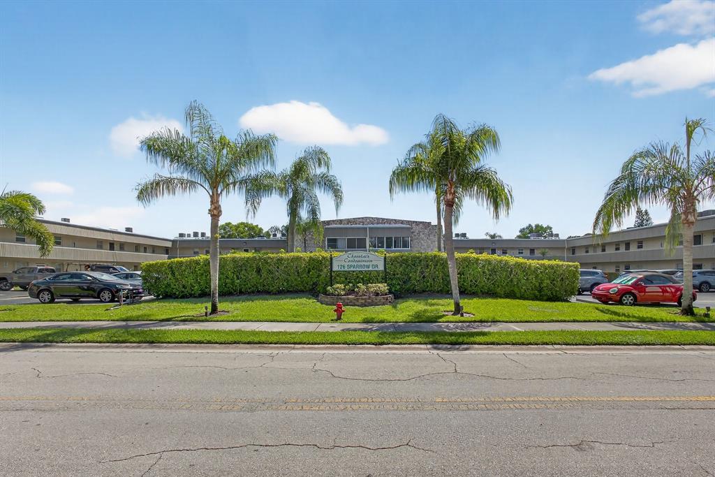 a view of a park with plants and palm trees