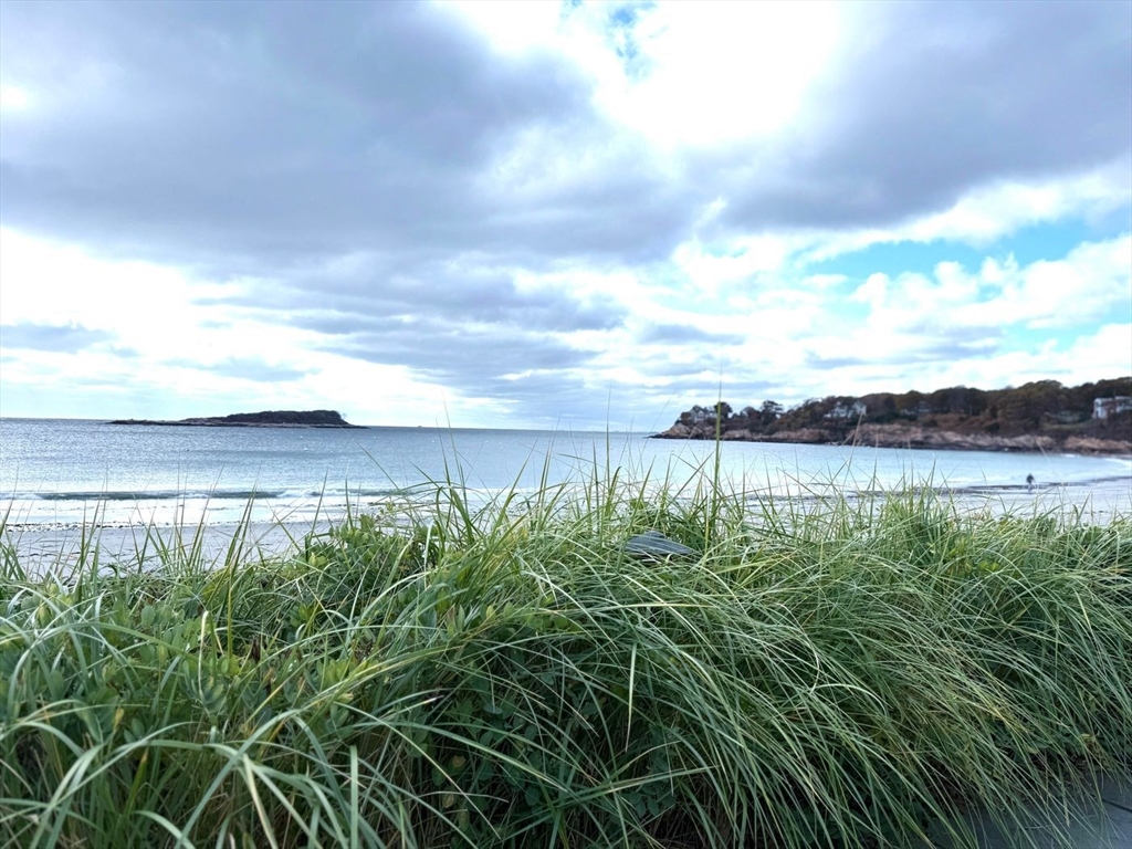 53 Raymond Street Manchester, MA 01944 - Photo 27 of 28