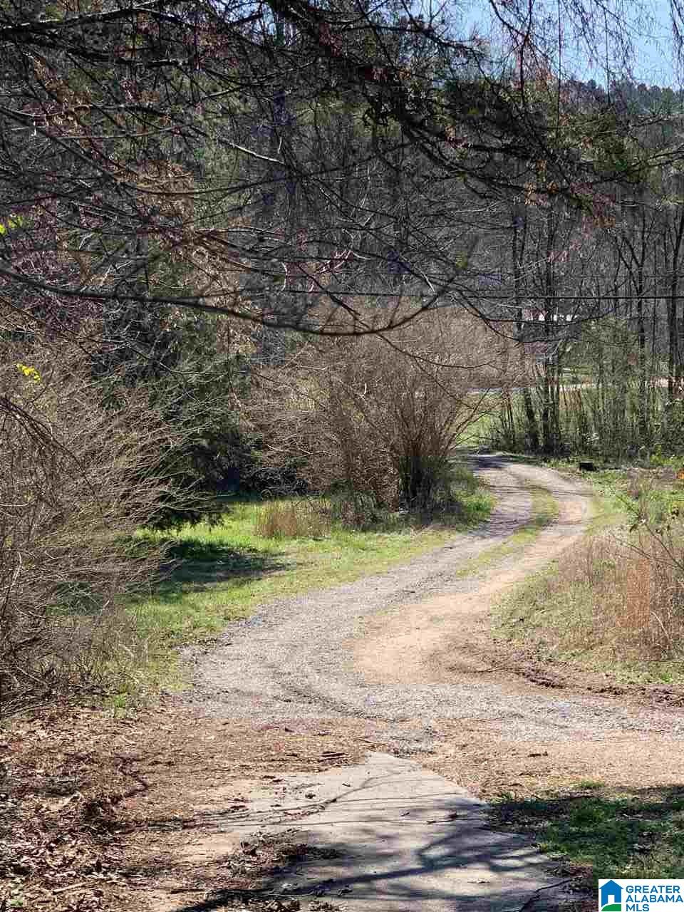 1099 Warrior Jasper Road Warrior, AL 35180 - Photo 5 of 16