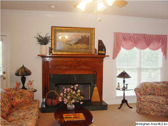 361 County Line Road Oxford, AL 36203 - Photo 3 of 27
