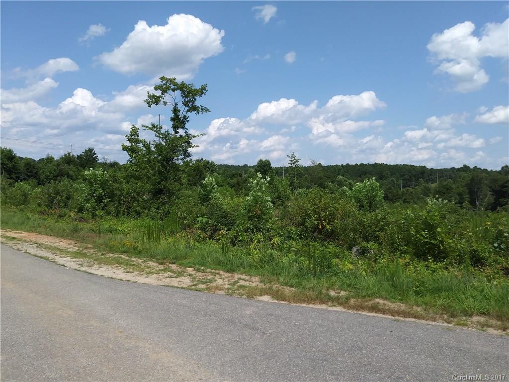 2160 Otis Dellinger Road Lincolnton, NC 28092 - Photo 2 of 6 Gallery Image 2