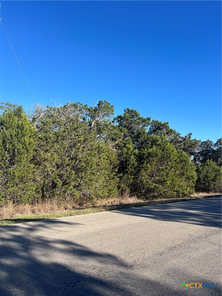 684 Spring Street Spring Branch, TX 78070 - Photo 2 of 6 a view of a yard