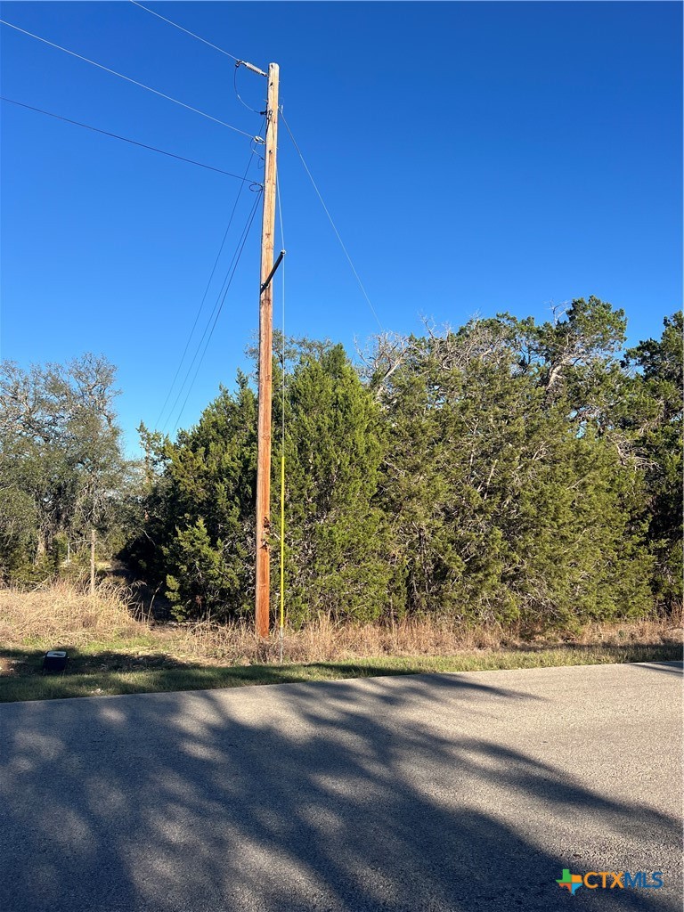 684 Spring Street Spring Branch, TX 78070 - Photo 6 of 6 a view of a street
