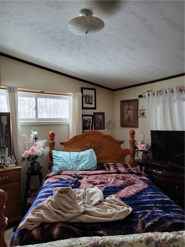 538 Ceresna Road Delhi, NY 13753 - Photo 5 of 33 BR1