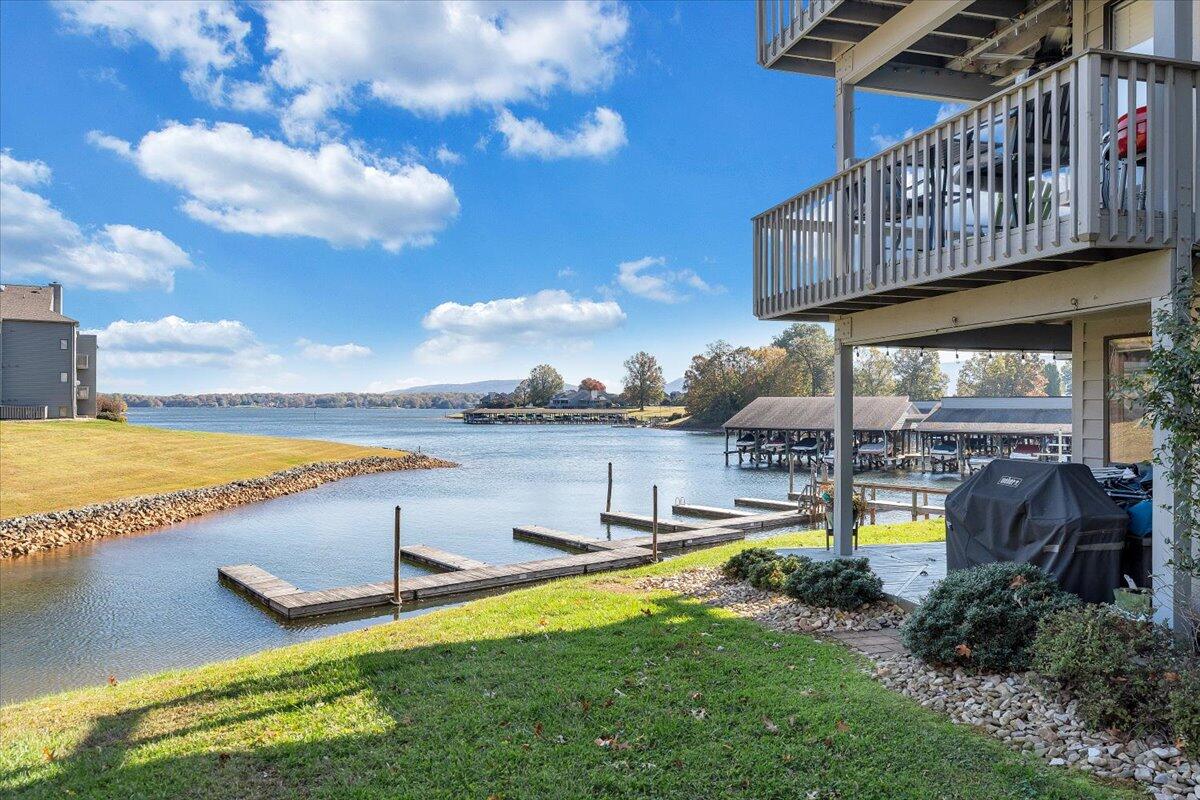 100 Dockside Circle, Unit 201 Moneta, VA 24121 - Photo 5 of 52 43-MIB06133