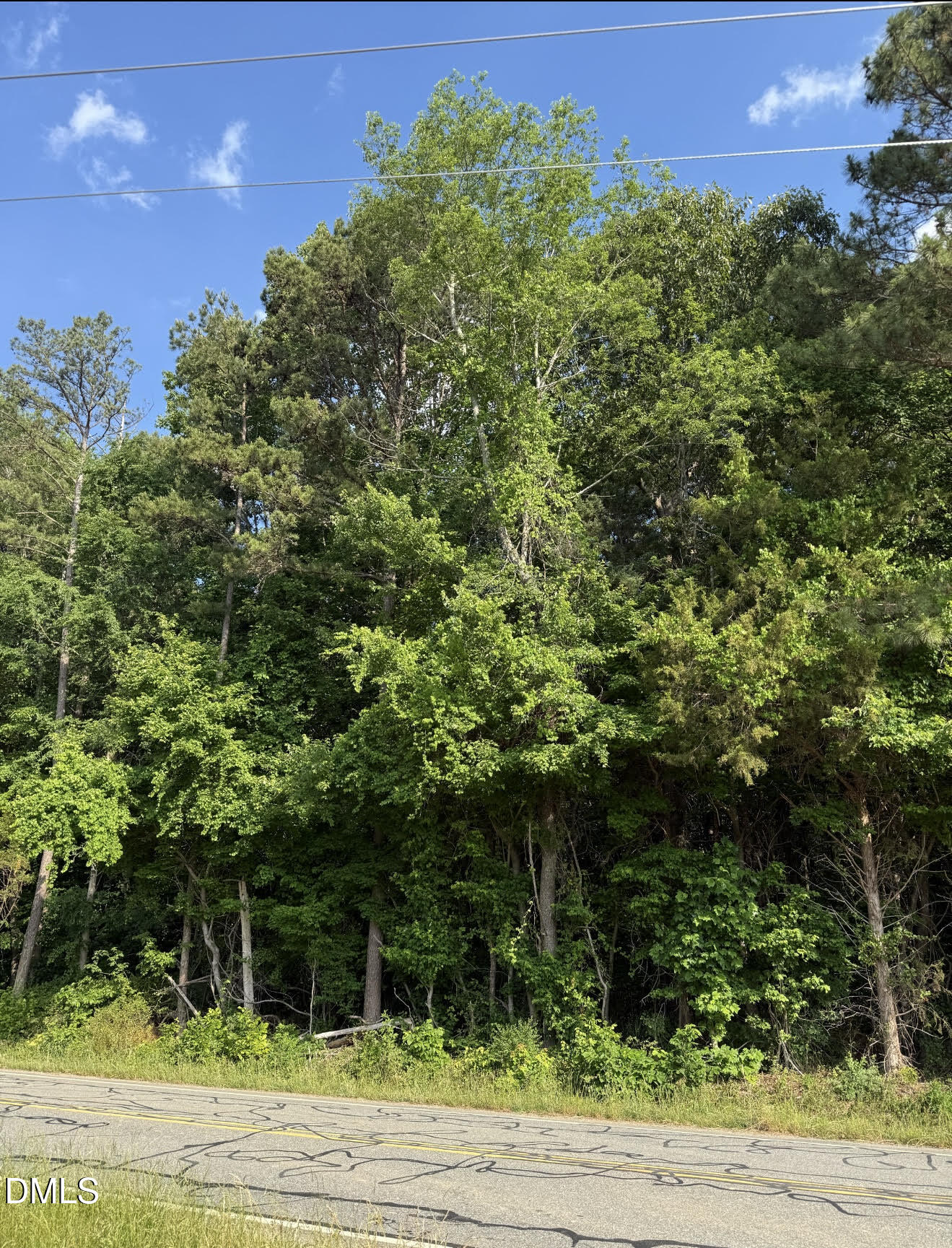 0 Jessie Bridges Road Siler City, NC 27344 - Photo 2 of 3 a view of a yard