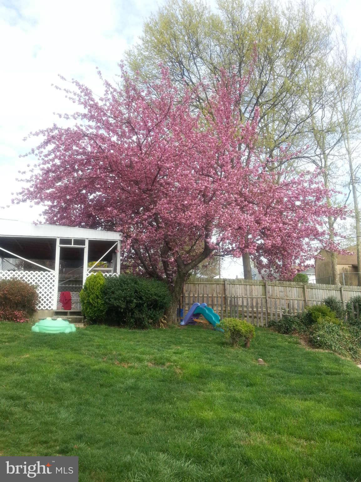 621 Cleveland Road Linthicum Heights, MD 21090 - Photo 27 of 30 Backyard 3