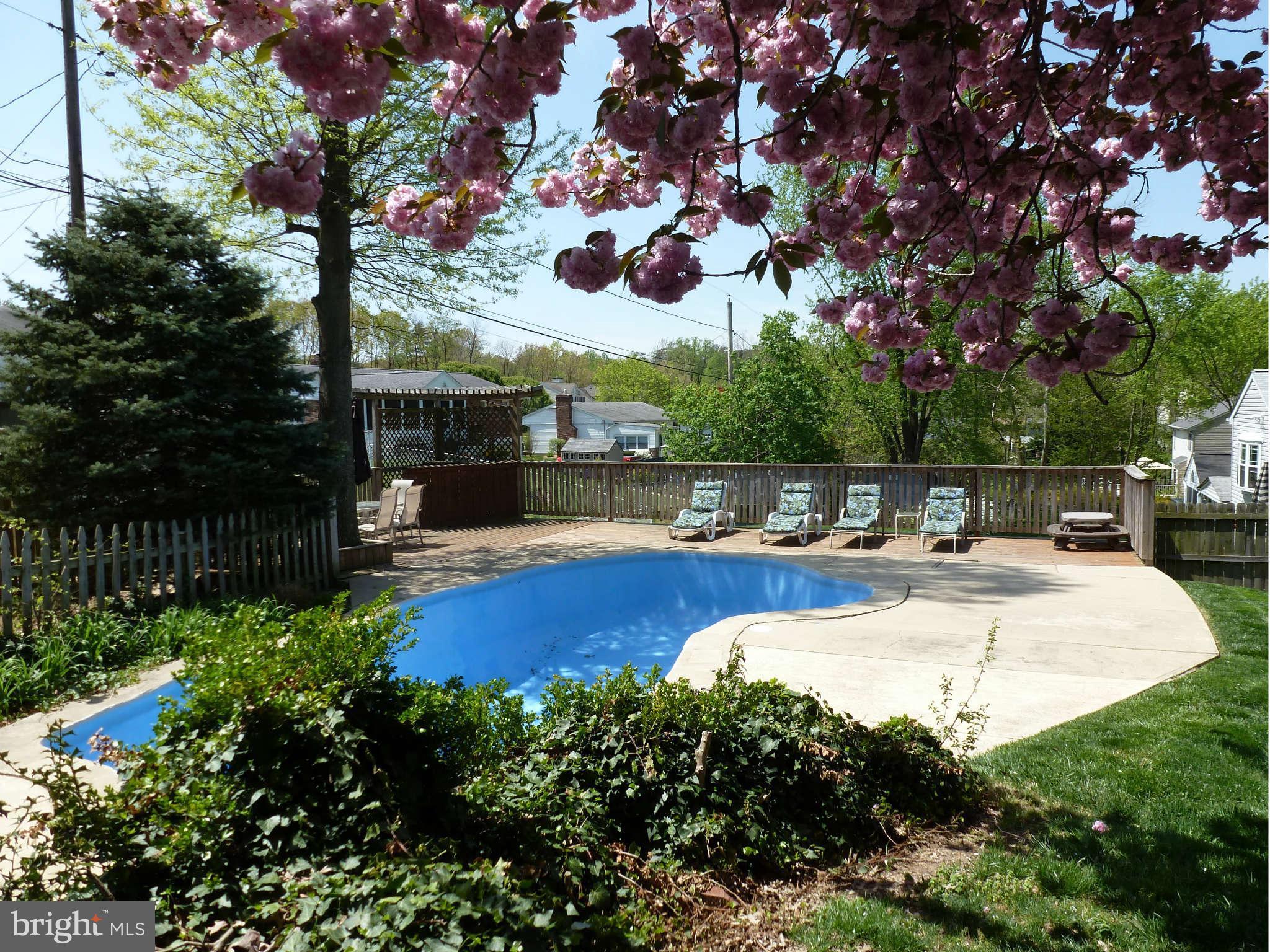 621 Cleveland Road Linthicum Heights, MD 21090 - Photo 29 of 30 Pool