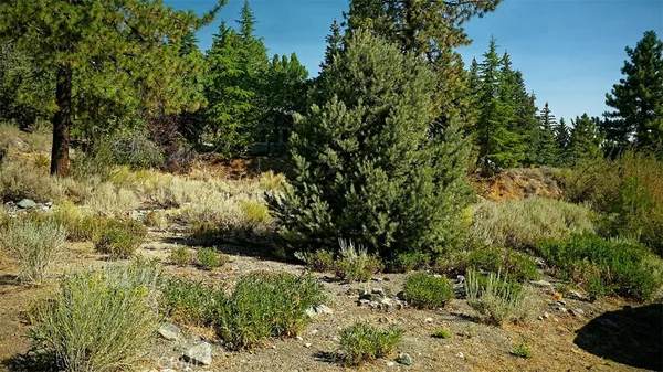 $140,000 | 0 Zermatt Drive, Wrightwood, CA 92397