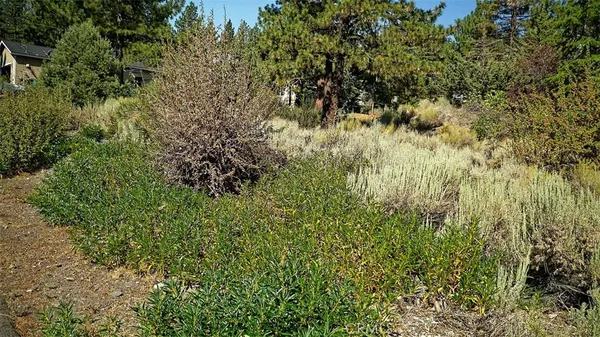 $140,000 | 0 Zermatt Drive, Wrightwood, CA 92397