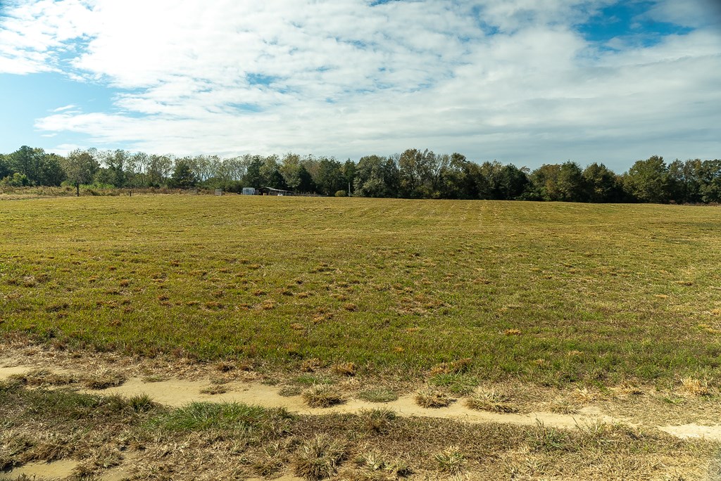 0 J B J B Jackson Road Webb, AL 36376 - Photo 19 of 38
