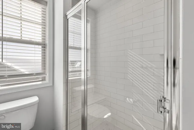 a bathroom with a shower and a toilet