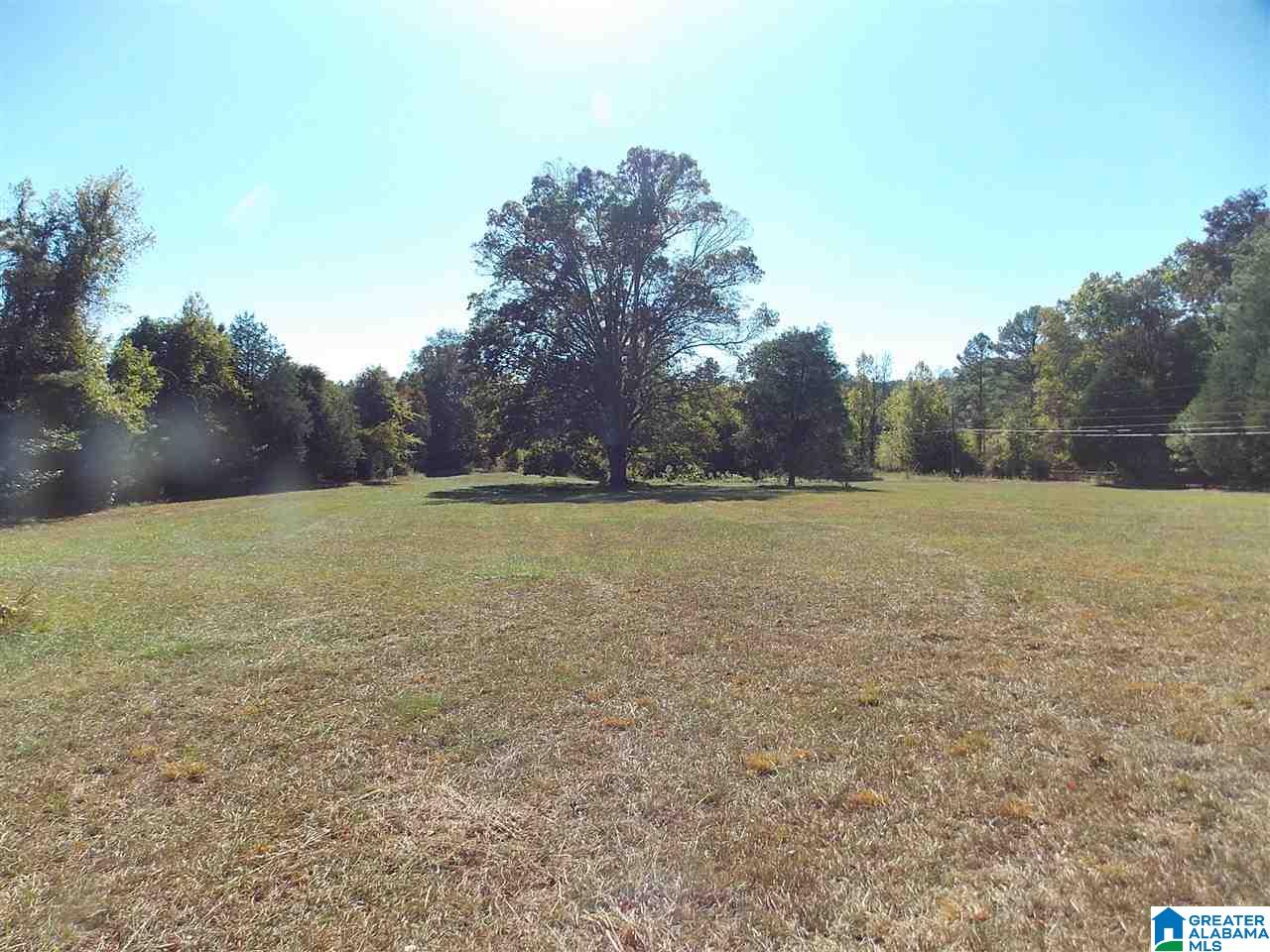 680 Brooks Lane Oneonta, AL 35121 - Photo 9 of 27