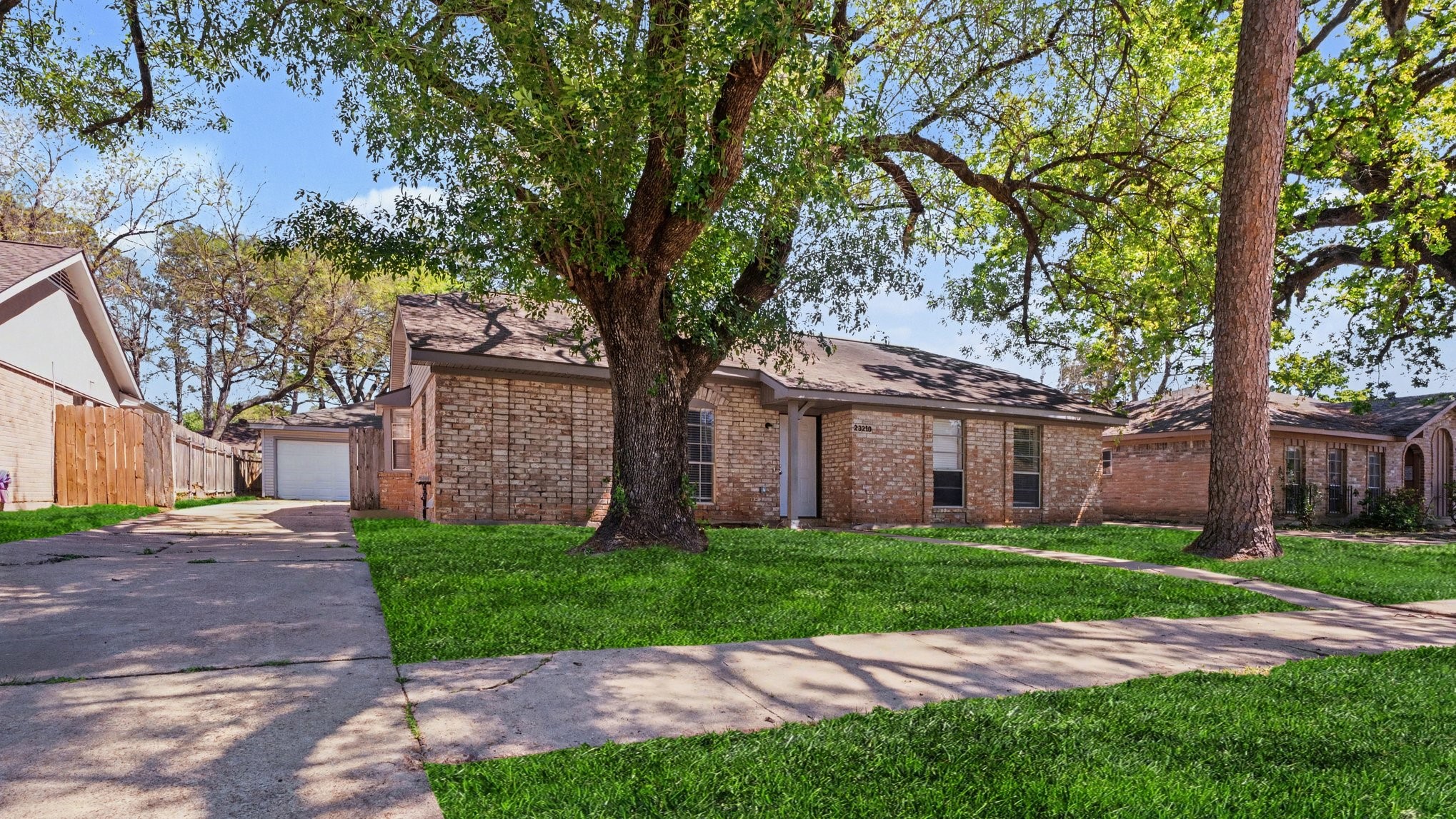 23210 Earlmist Drive Spring, TX 77373 - Photo 3 of 22 a tall tree in middle of green field in front of house