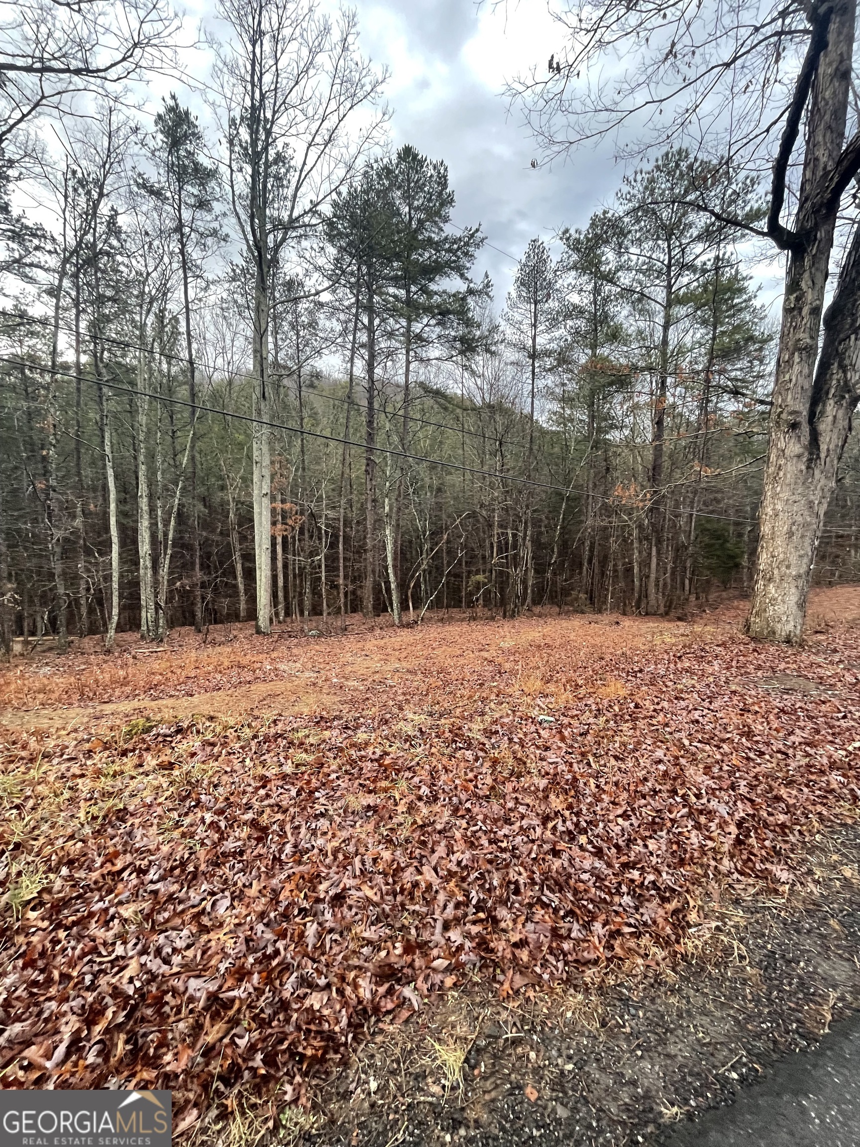 130 Connesena Road Kingston, GA 30145 - Photo 2 of 3