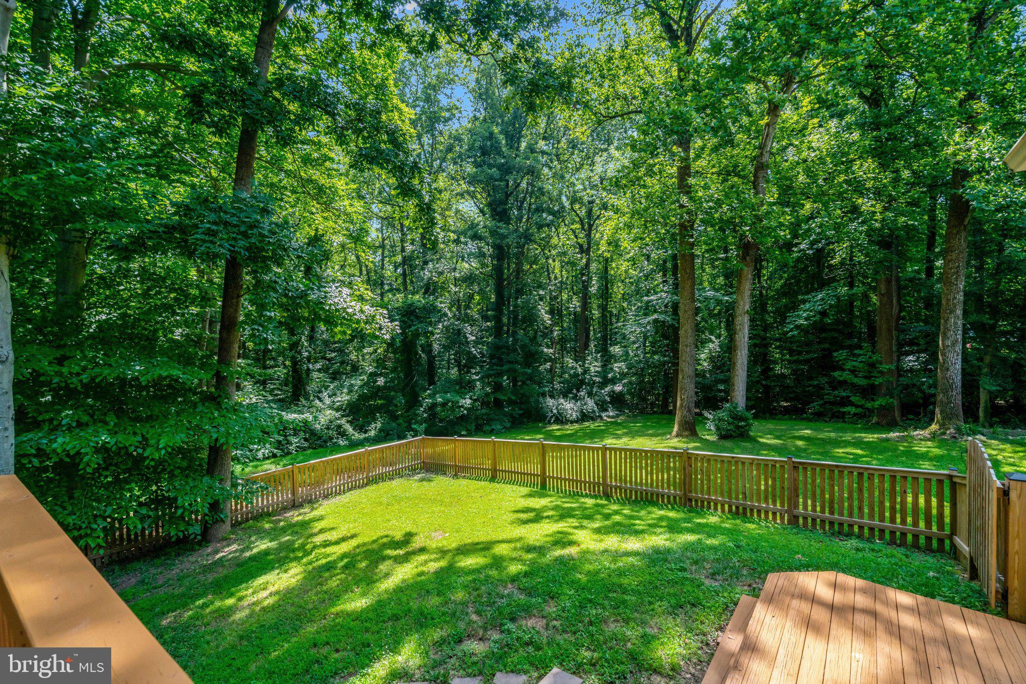7217 Reservation Drive Springfield, VA 22153 - Photo 57 of 57
