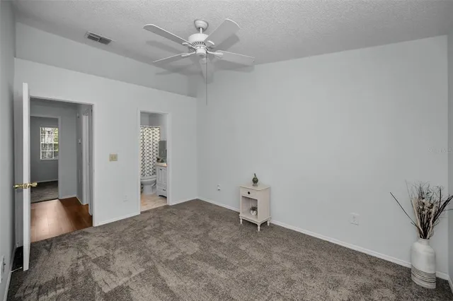 a view of a green field with plants