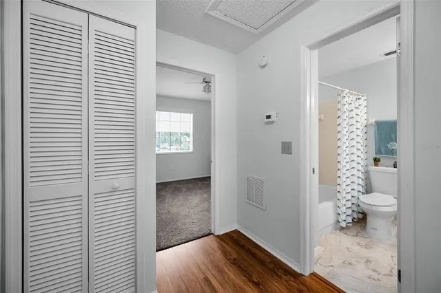 a view of a field with a tree in the background