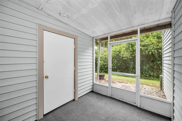 a view of a park with palm trees