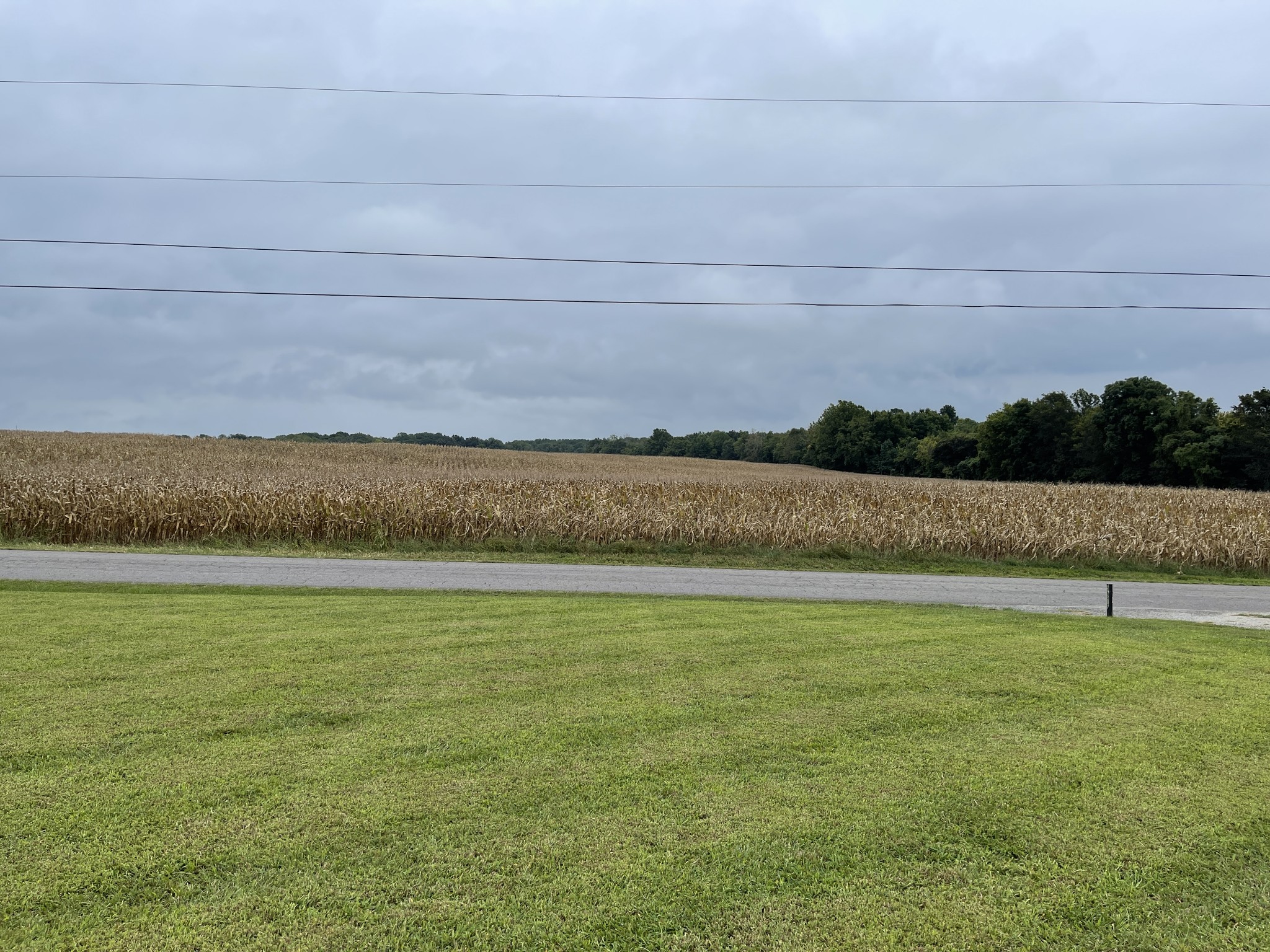 5976 Fred Perry Road Springfield, TN 37172 - Photo 3 of 27