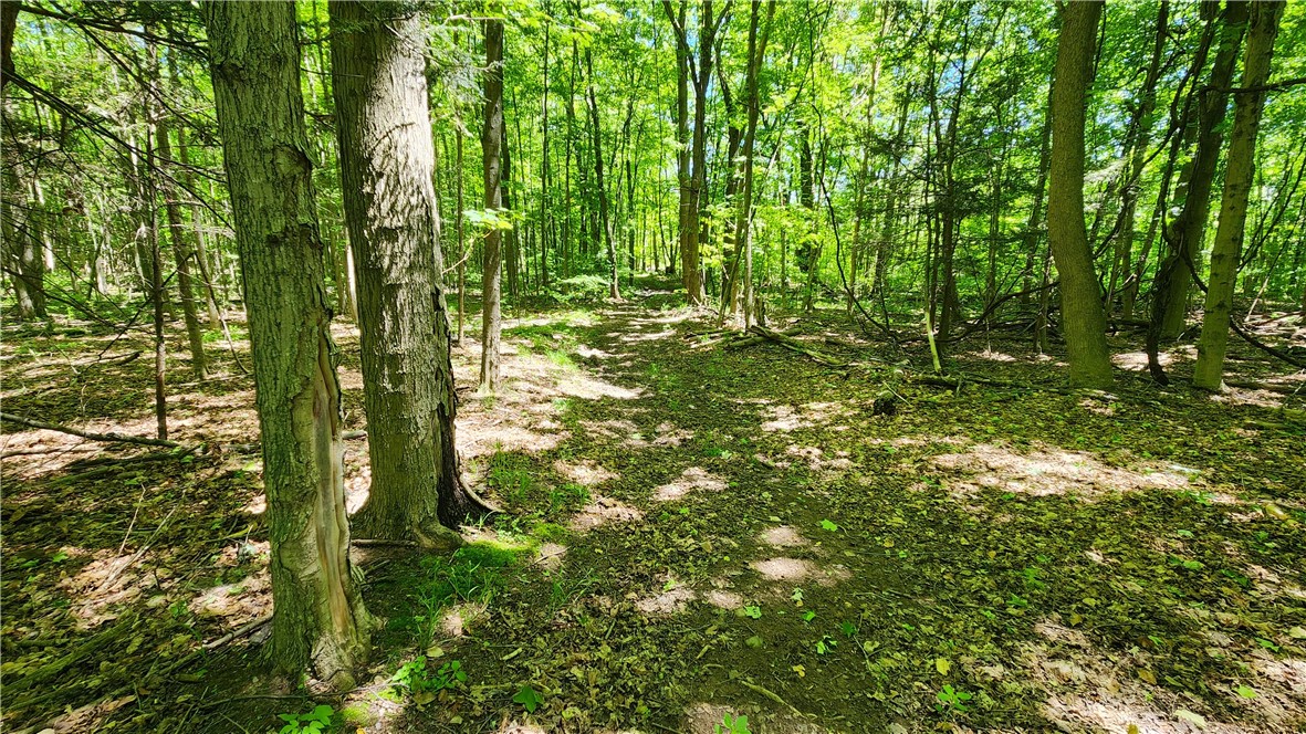 7383 Lakeside Road Ontario, NY 14519 - Photo 40 of 50