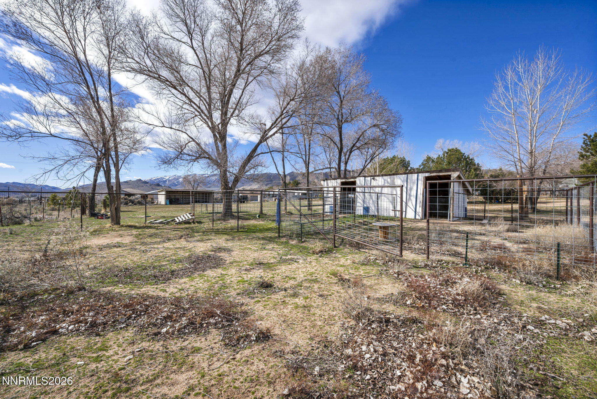 55 Buckboard Circle Reno, NV 89508 - Photo 24 of 39 a view of yard covered with trees