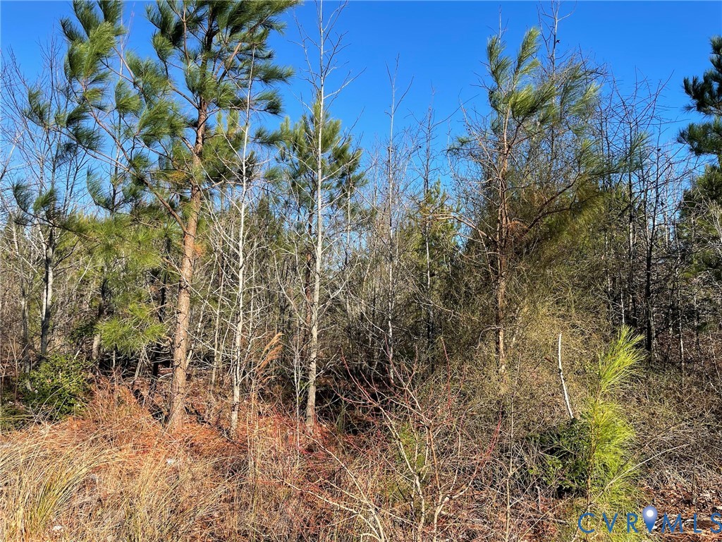 0 Tucker Hill Road Kinsale, VA 22488 - Photo 3 of 6