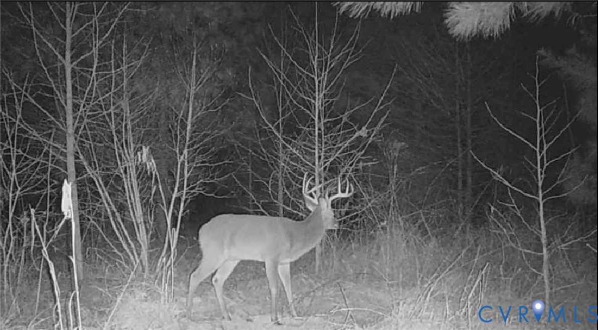 0 Tucker Hill Road Kinsale, VA 22488 - Photo 5 of 6