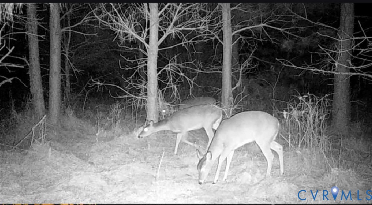 0 Tucker Hill Road Kinsale, VA 22488 - Photo 6 of 6