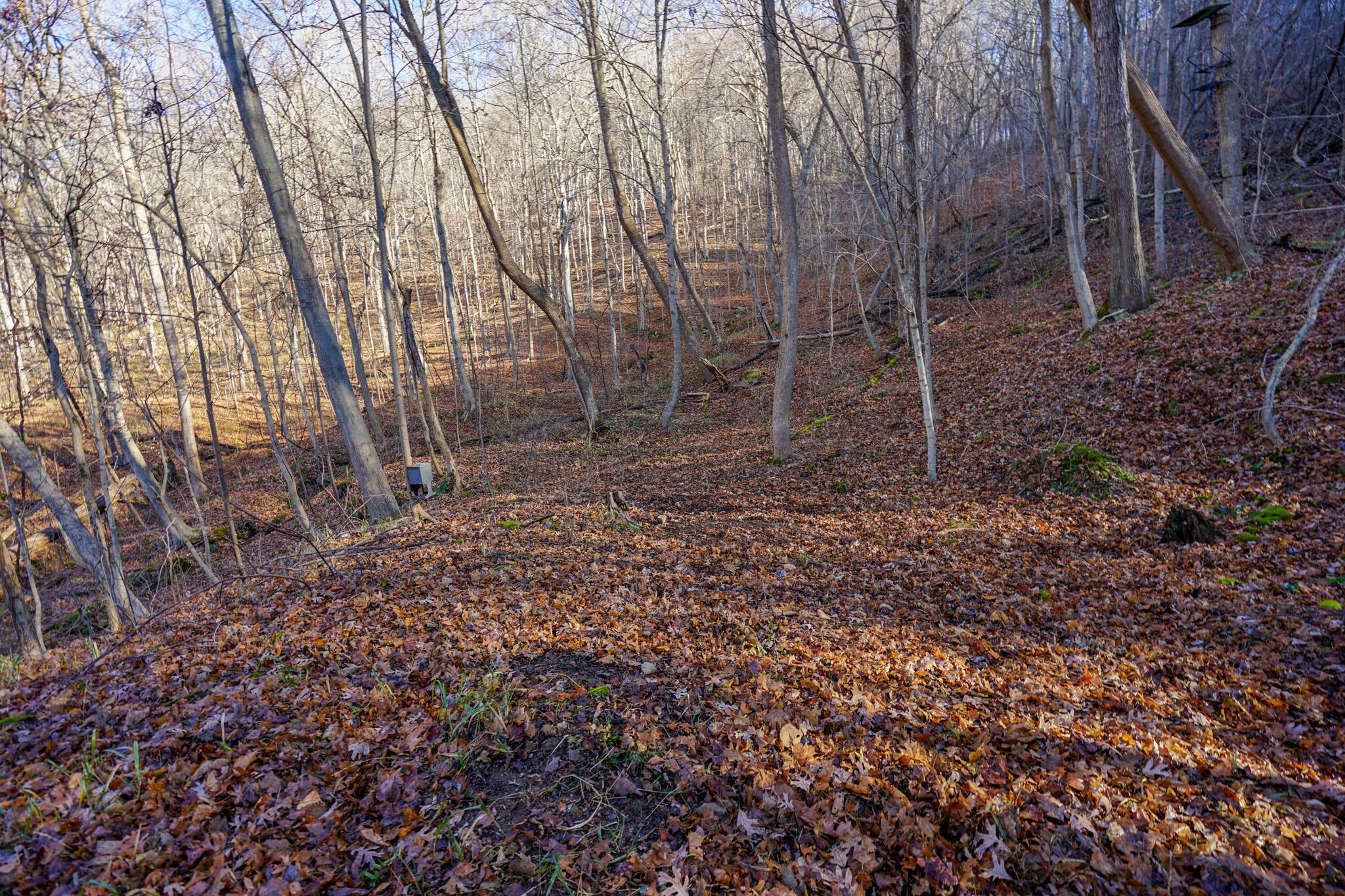 2430 Long Lick Road Stout, OH 45684 - Photo 30 of 47 DSC09749