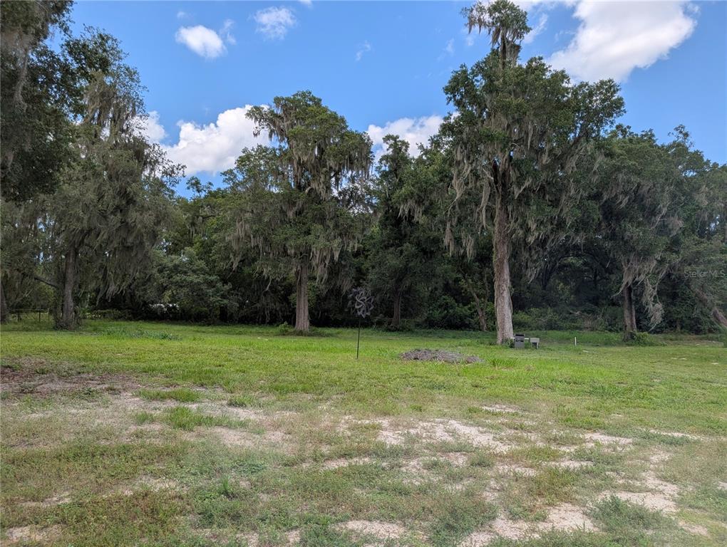 123 Amos Road Crescent City, FL 32112 - Photo 33 of 36 a view of a field with a tree in the background