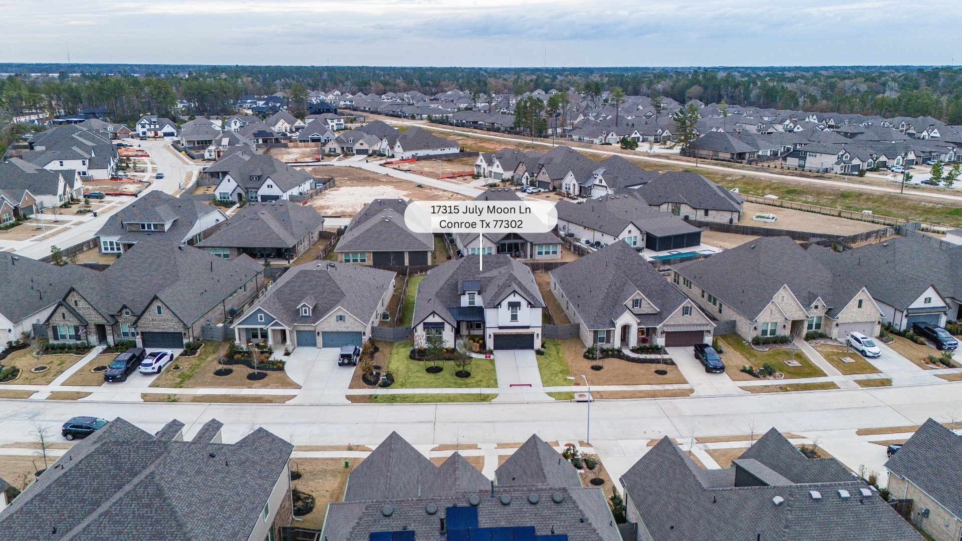 17315 July Moon Lane Conroe, TX 77302 - Photo 3 of 46 Amazing aerial of 17315 July Moon Lane in the community of ARTAVIA.