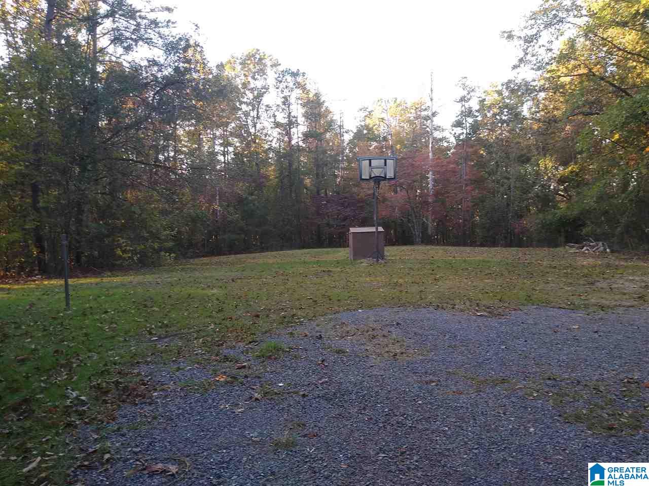 70 Dogwood Lane Oneonta, AL 35121 - Photo 5 of 22