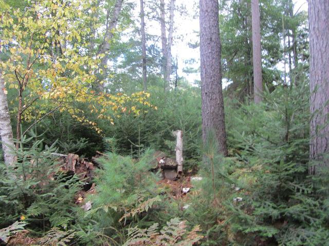On On Eagles Ridge Eagle River, WI 54521 - Photo 4 of 12 Gallery Image 4