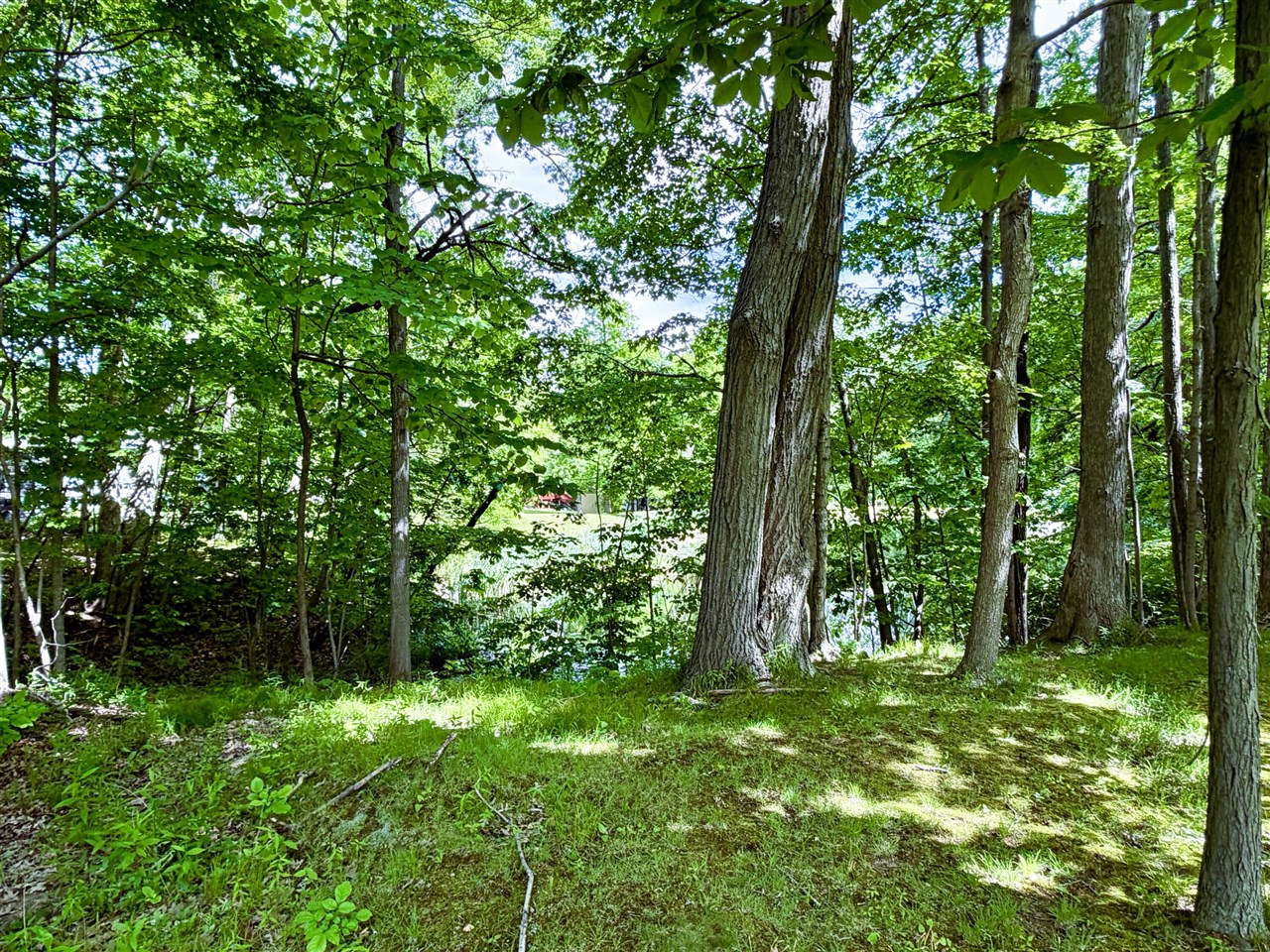 8000 Warren Woods Road, Unit LOT #96 Three Oaks, MI 49128 - Photo 12 of 62