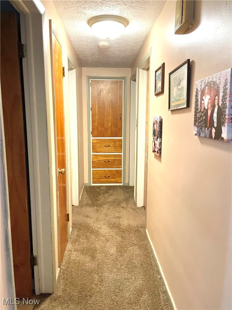 9810 Ziegler Road Hanoverton, OH 44423 - Photo 7 of 18 Hall with baseboards, carpet floors, and a textured ceiling