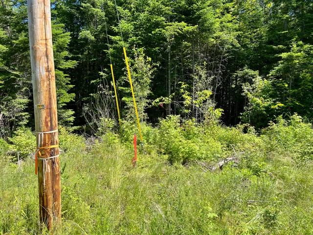 $20,000 | Lot 3 Woodland Ridge Road, Danforth, ME 04424