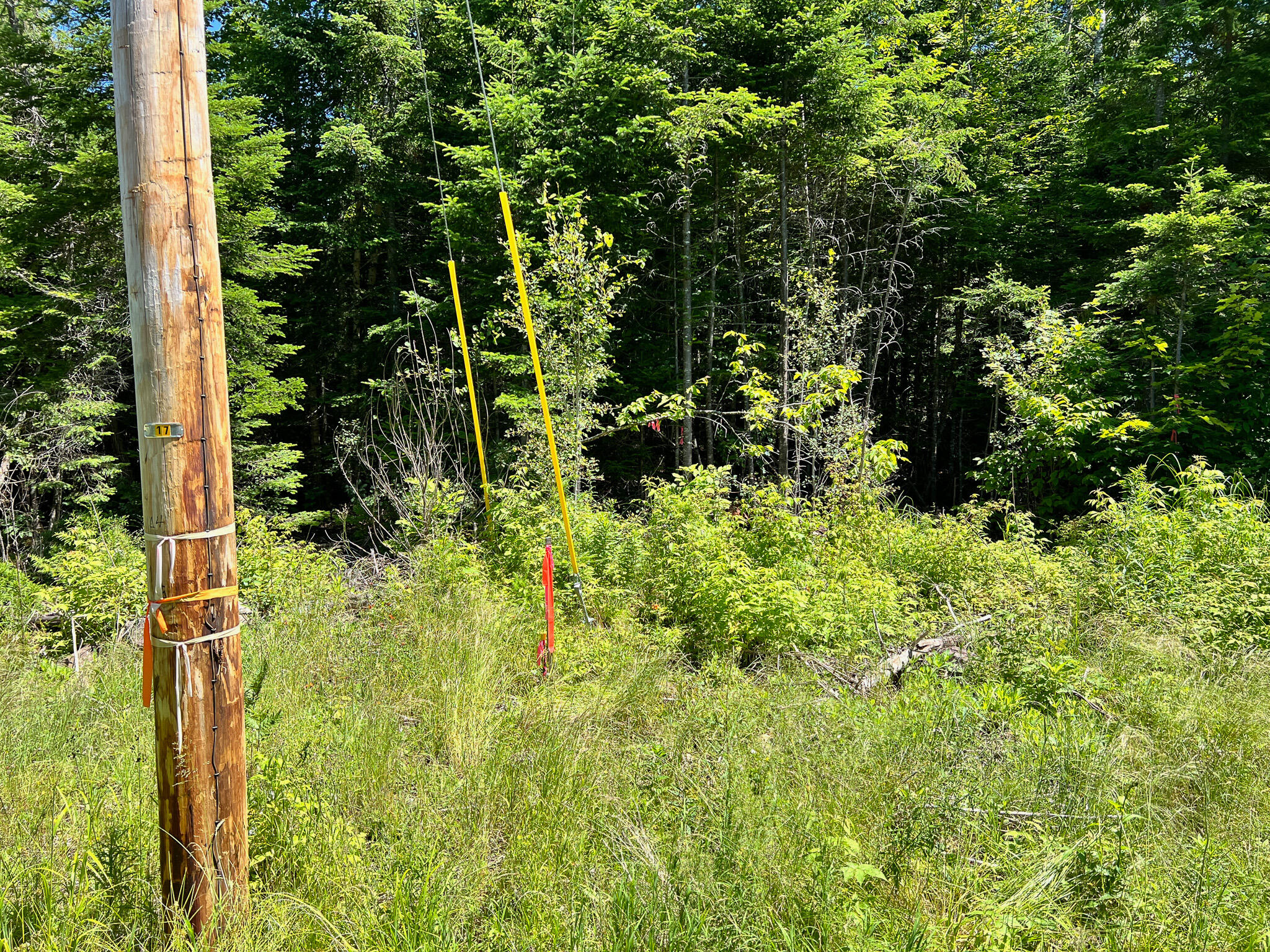 Lot 3 Woodland Ridge Road Danforth, ME 04424 - Photo 14 of 17 IMG_6400