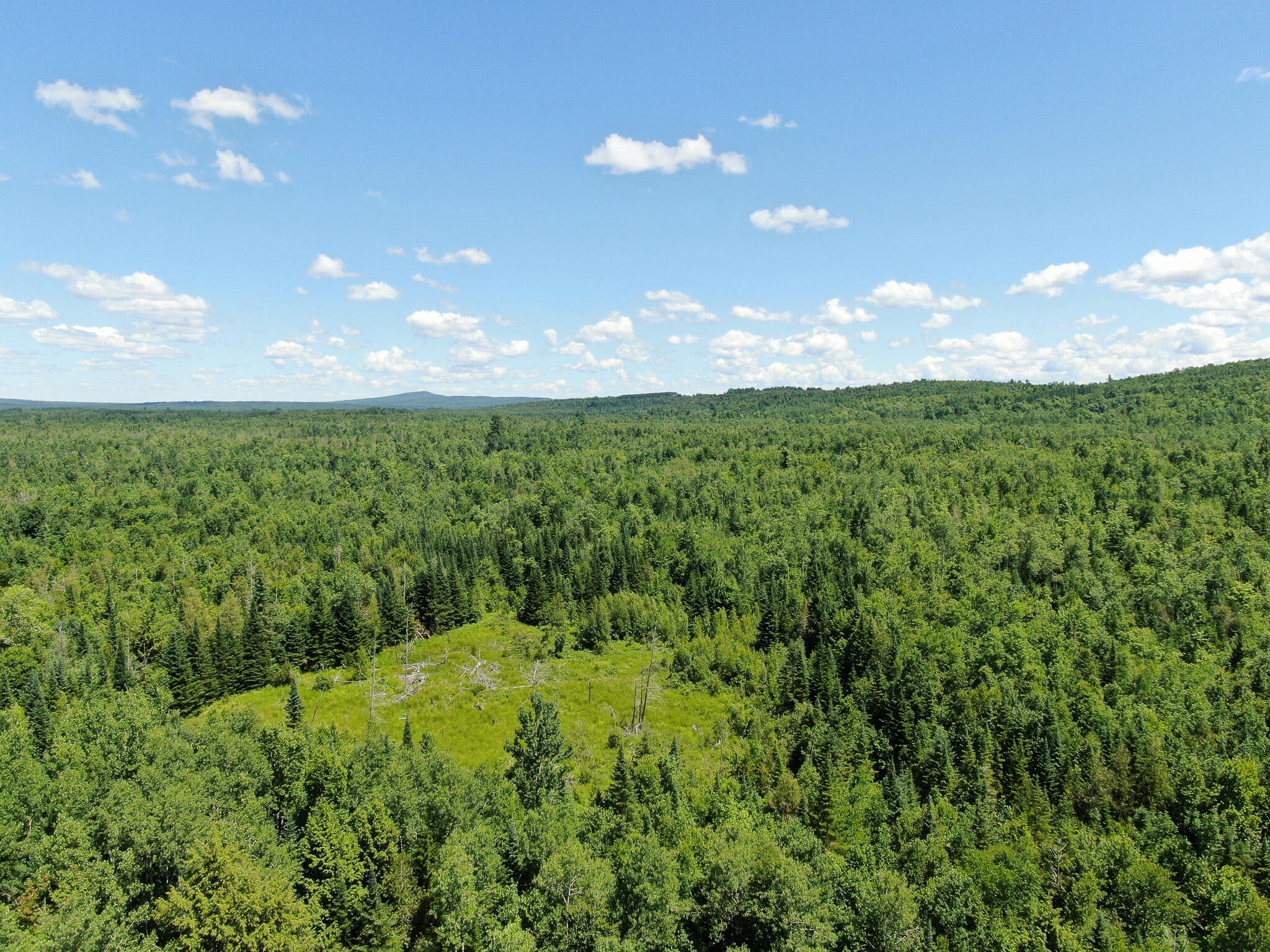 Lot 3 Woodland Ridge Road Danforth, ME 04424 - Photo 7 of 17 DJI_0862