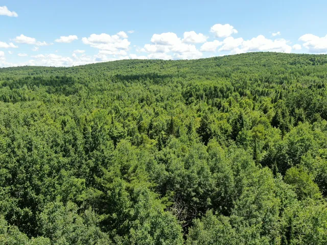 $20,000 | Lot 3 Woodland Ridge Road, Danforth, ME 04424