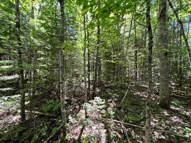 $20,000 | Lot 3 Woodland Ridge Road, Danforth, ME 04424