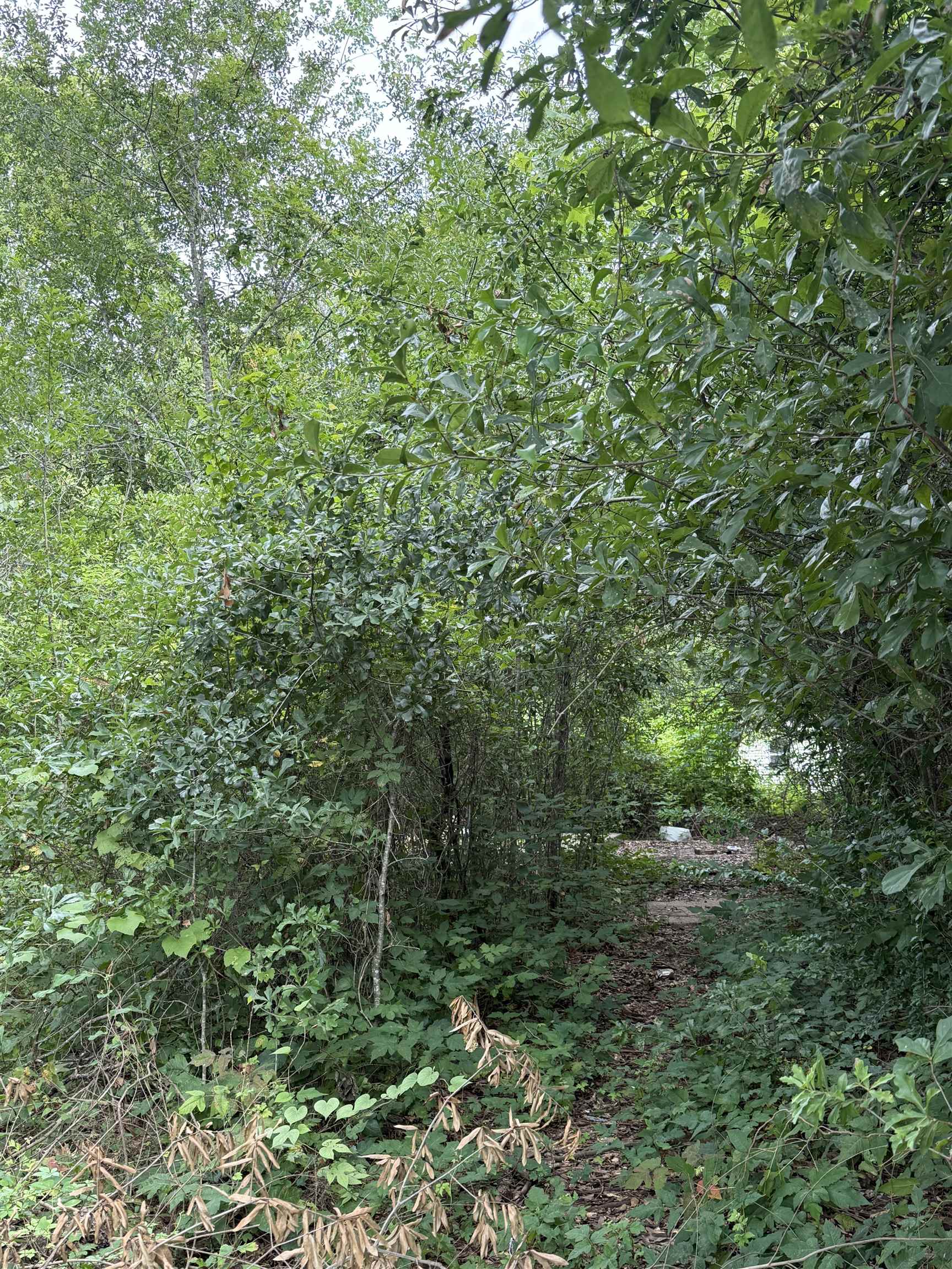 7 Cir R Orange, TX 77630 - Photo 2 of 4