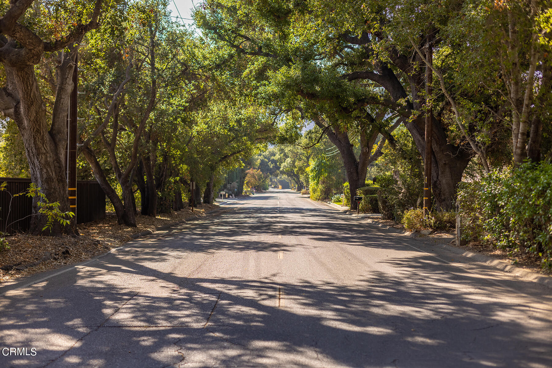 487 Gridley Road Ojai, CA 93023 - Photo 22 of 22 a view of park space with trees