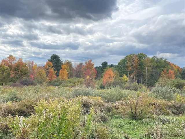 $269,000 | 204 Nichols Road, Jefferson, NY 12093